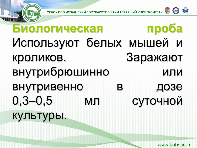 Биологическая проба Используют белых мышей и кроликов. Заражают внутрибрюшинно или внутривенно в дозе 